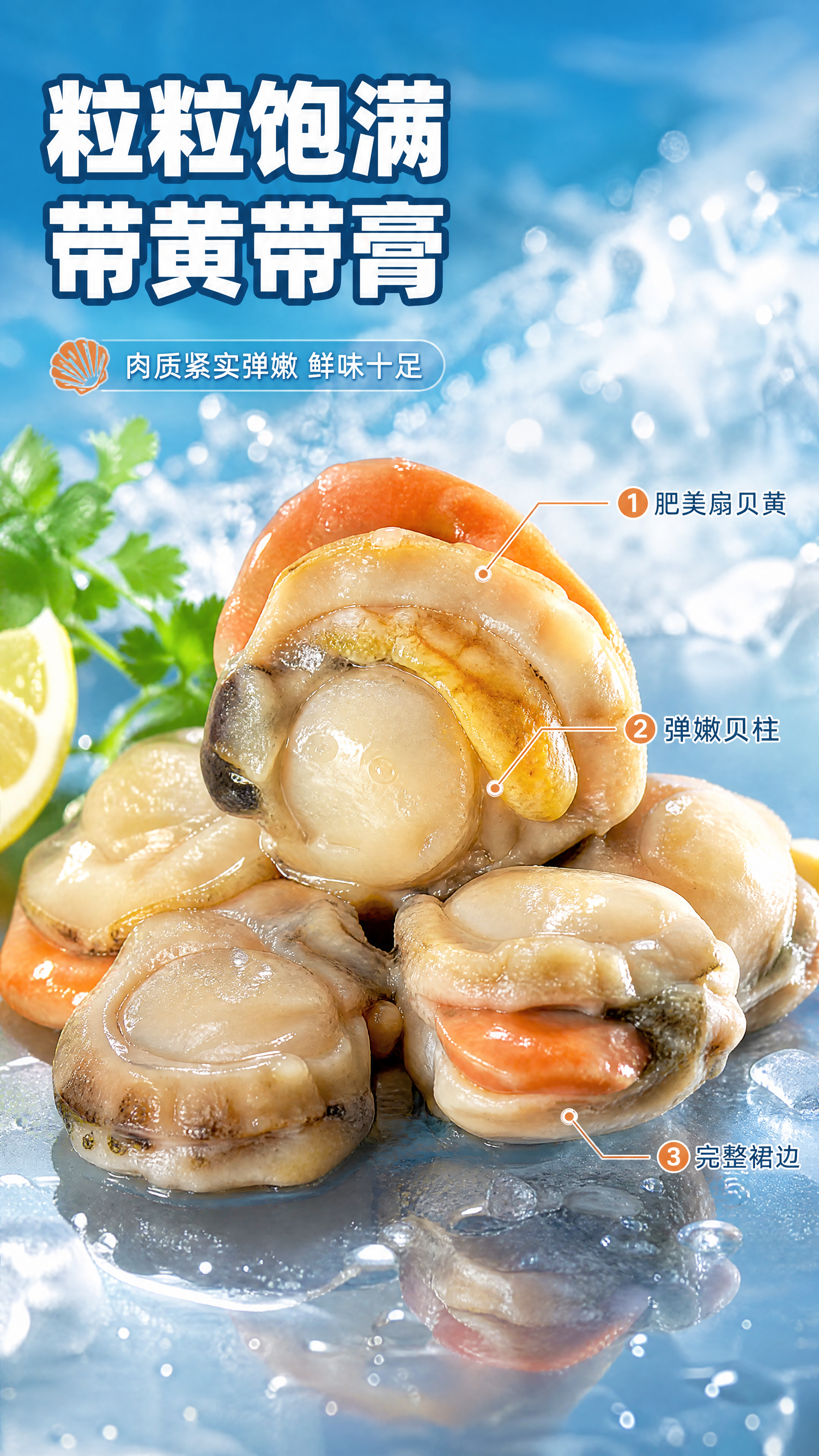 [商品] 使用【图1】真空包装冻煮扇贝肉；保留扇贝肉的自然形态… - 图片创意预览