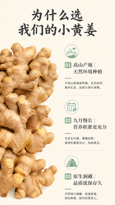 [第7屏] 核心卖点总结拆解屏-总结选择金寨小黄姜的核心理由。本屏使用【图1】作为商品主体，保持小黄姜形态颜色与输入产品图一致。
[氛围/风格] 干净信息展示风格，商业清晰质感，信息层级突出。
[元素预览效果
