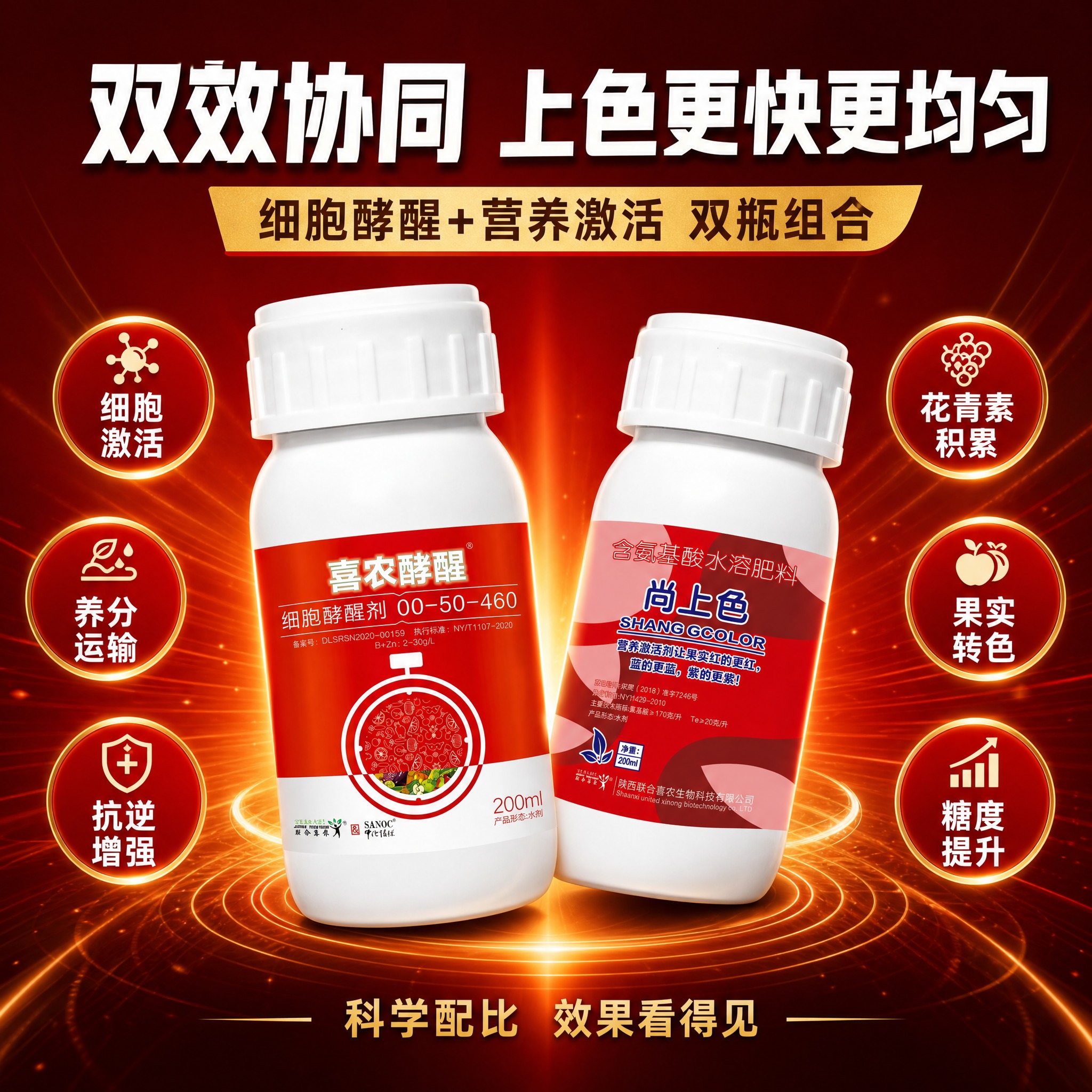 [主图-3] 双效成分卖点 细胞酵醒+营养激活 双瓶协同作用… - 图片创意预览