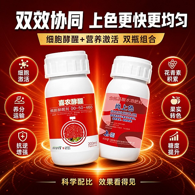 [主图-3] 双效成分卖点 细胞酵醒+营养激活 双瓶协同作用
[统一基调] 抖音农资电商风格 红金渐变主背景 深红色+金色点缀 白色粗黑体主标题 金色副标题 圆角矩形卖点标签 强视觉冲击 高清商业摄影质感
[画面] 中心放射式构图 两瓶产品位于画面中心 喜农酵醒在左 尚上色在右 呈45度角微微倾斜相对 从两瓶周围向外放射出金色光线 左侧围绕喜农酵醒有3个红色圆形图标 分别标注细胞激活 养分运输 抗逆增强 右侧围绕尚上色有3个红色圆形图标 分别标注花青素积累 果实转色 糖度提升 背景为深红色径向渐变 顶部有主标题区域
[光影质感] 商业产品摄影质感 瓶身有明显高光 标签清晰 金色光线有通透感 整体光影有科技感和力量感 底部投影自然
[配色] 深红渐变背景 金色光线和装饰 红色图标配白色文字 主标题白色 副标题金色 整体红金配色
[文字版式] 顶部大标题"双效协同 上色更快更均匀"白色粗黑体 副标题"细胞酵醒+营养激活 双瓶组合"金色字 左右两侧图标内文字清晰 图标有细金色描边 底部小字"科学配比 效果看得见" 所有文字不遮挡瓶身
[输出要求] 1:1正方形 2048x2048 产品清晰不变形 图标文字清晰 无错字 无水印 无平台Logo 视觉层次分明