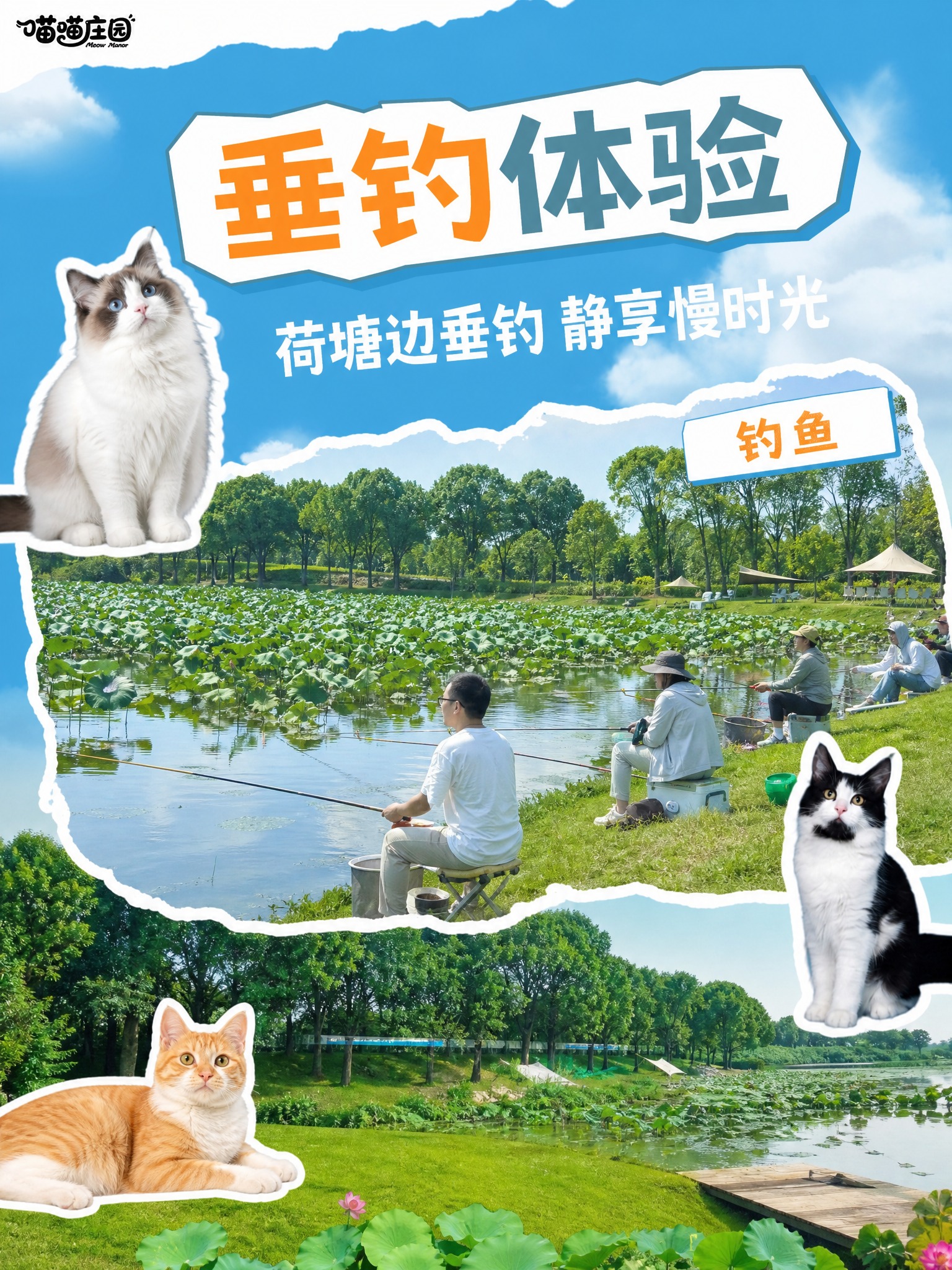 小红书内页图，完全按照用户上传参考图的风格：蓝天白云撕纸撕边、… - 图片创意预览