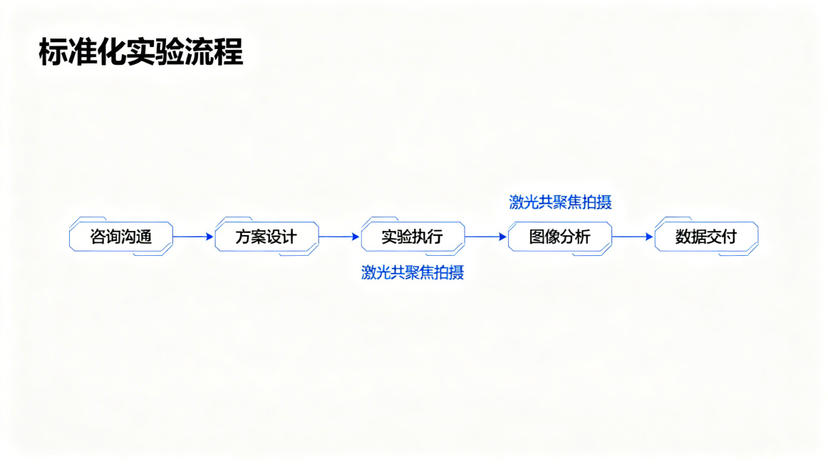 白色背景，科技蓝线条流程图设计，极简风格，专业科研排版，高清8K，无水印，标题：“标准化实验流程”，线条流程图结构：咨询沟通 → 方案设计 → 实验执行 → 激光共聚焦拍摄 → 图像分析 → 数据交付预览效果