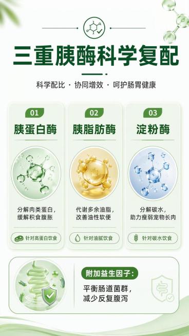 [第3屏] 核心配方三栏板块-三重胰酶科学复配。
[氛围/风格] 专业科学配方风格，简洁清晰，信任感强。
[元素布局] 顶部标题居中，下方分成三栏卡片，每个卡片展示一种胰酶功效，底部附加益生因子信息，预览效果