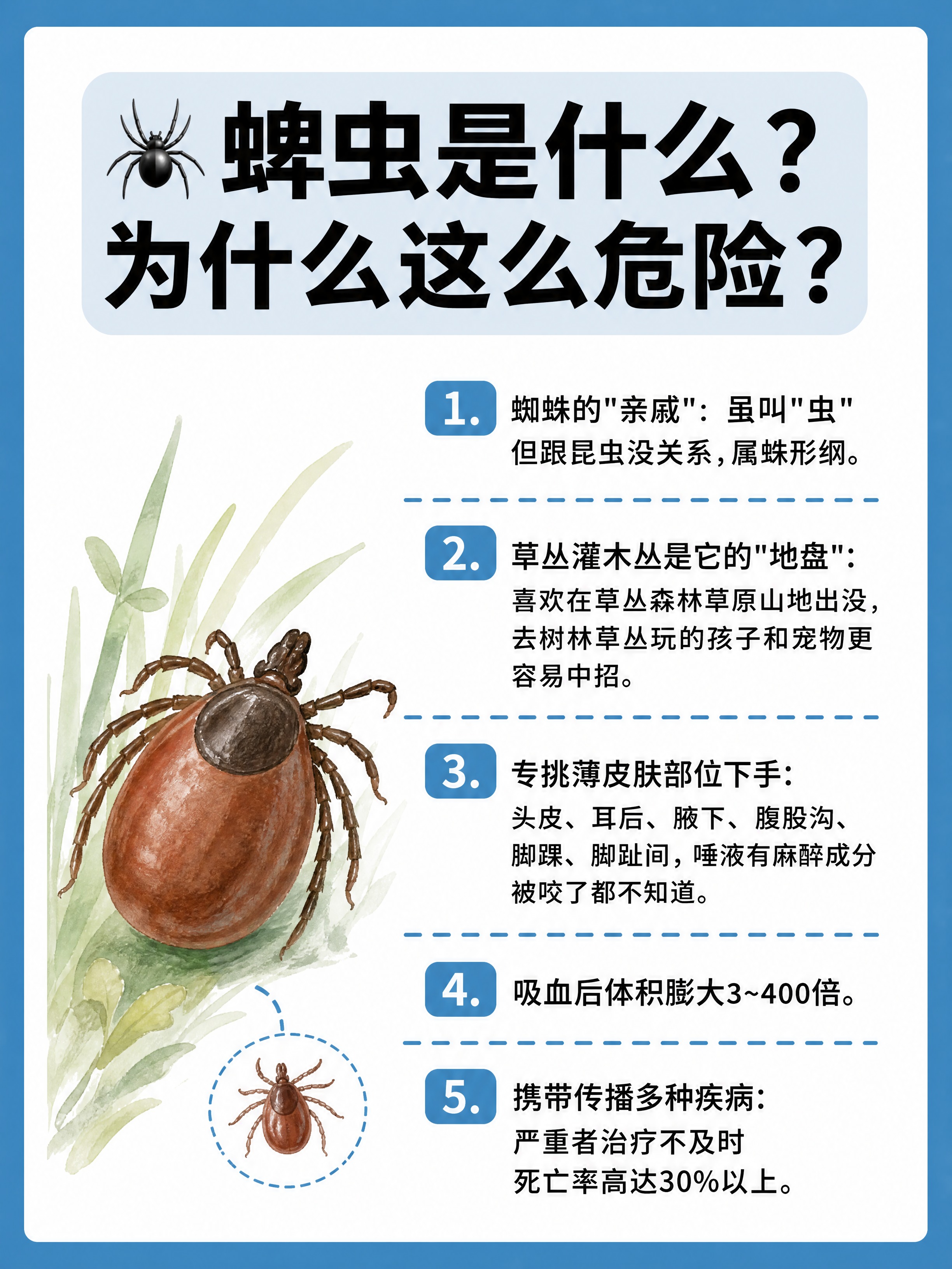 小红书健康科普图文内页，插图大字风格，ins清新风，版式骨架、… - 图片创意预览