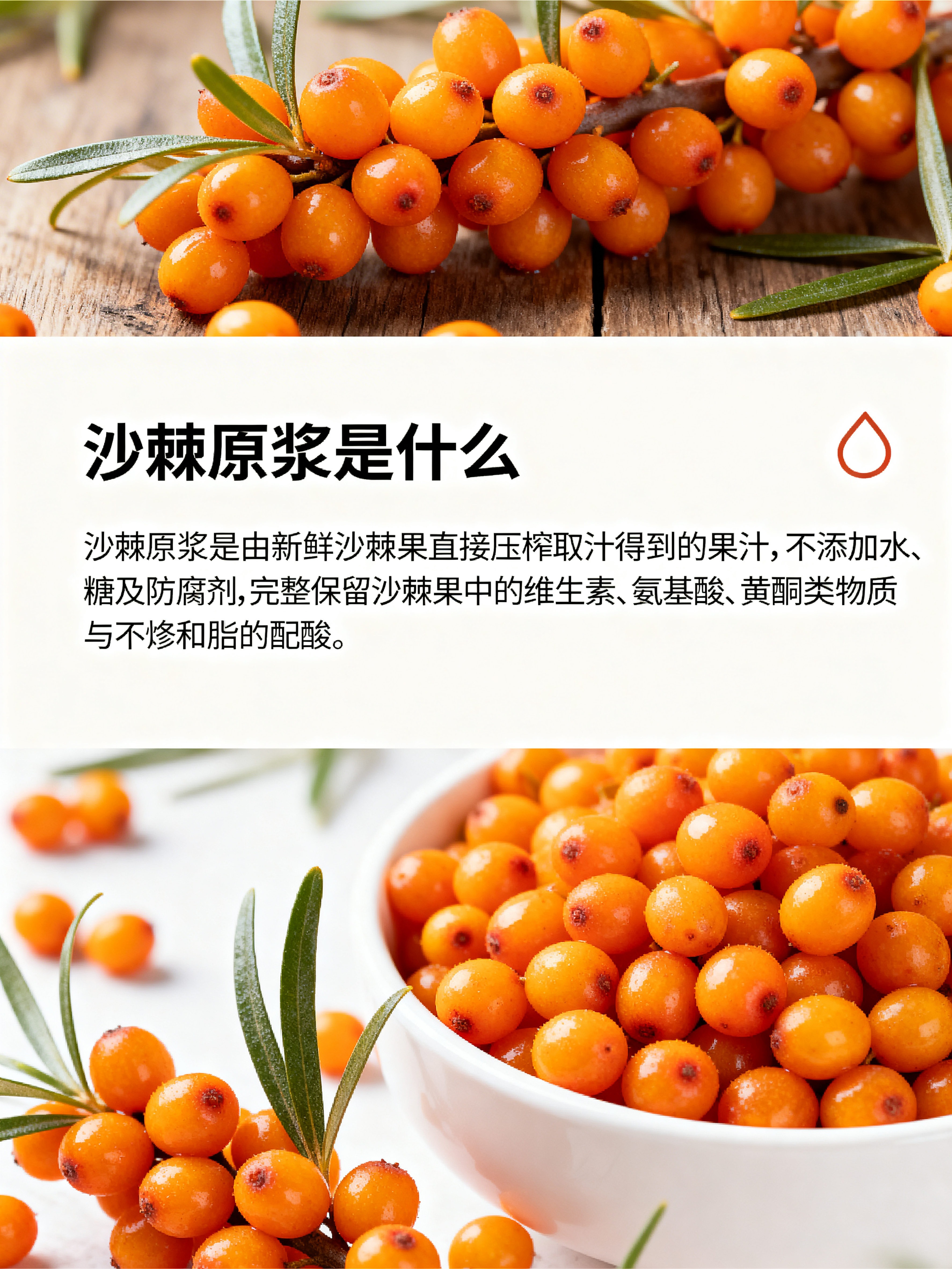 产品手册内页，产品介绍页，标题"沙棘原浆是什么"，文字内容"沙… - 图片创意预览