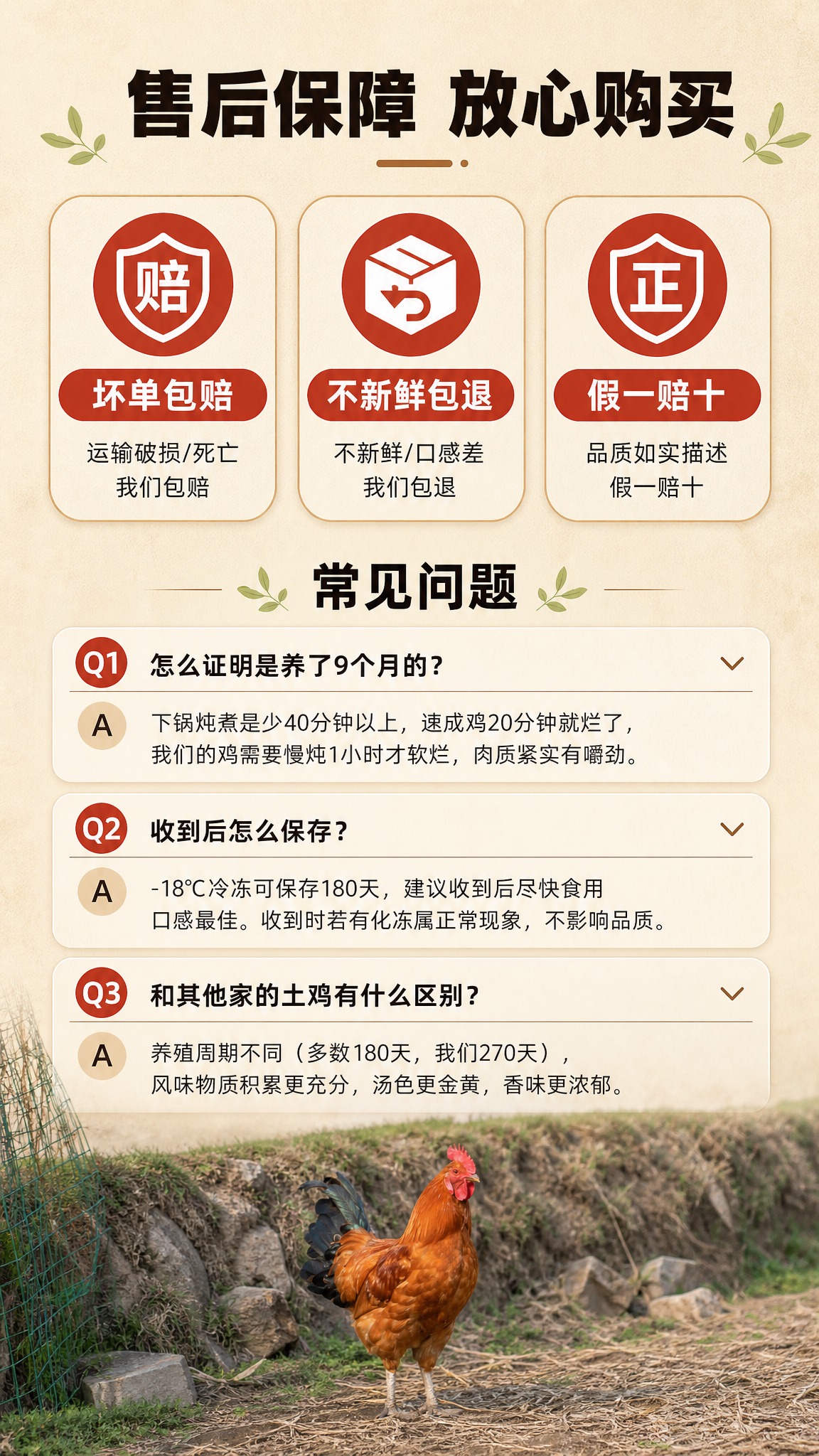 [商品] 使用【图4】田埂场景中的红棕色土公鸡作为产品参考；保… - 图片创意预览