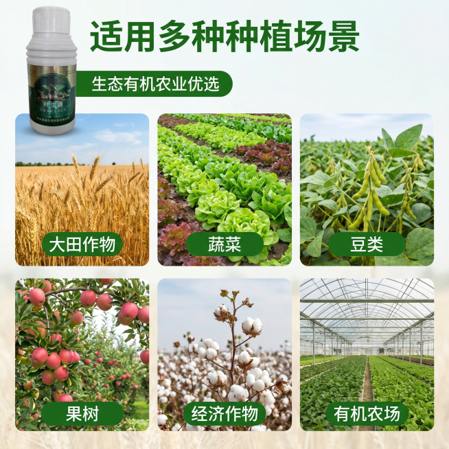 [主图 4] 适用作物场景展示。[氛围风格] 丰富实景风，直观清晰。[画质] 商业摄影质感、光线柔和通透、产品清晰真实、画面干净高级。[元素] 产品放置在画面左上位置，占比适中，保持产品外观与输入产品预览效果