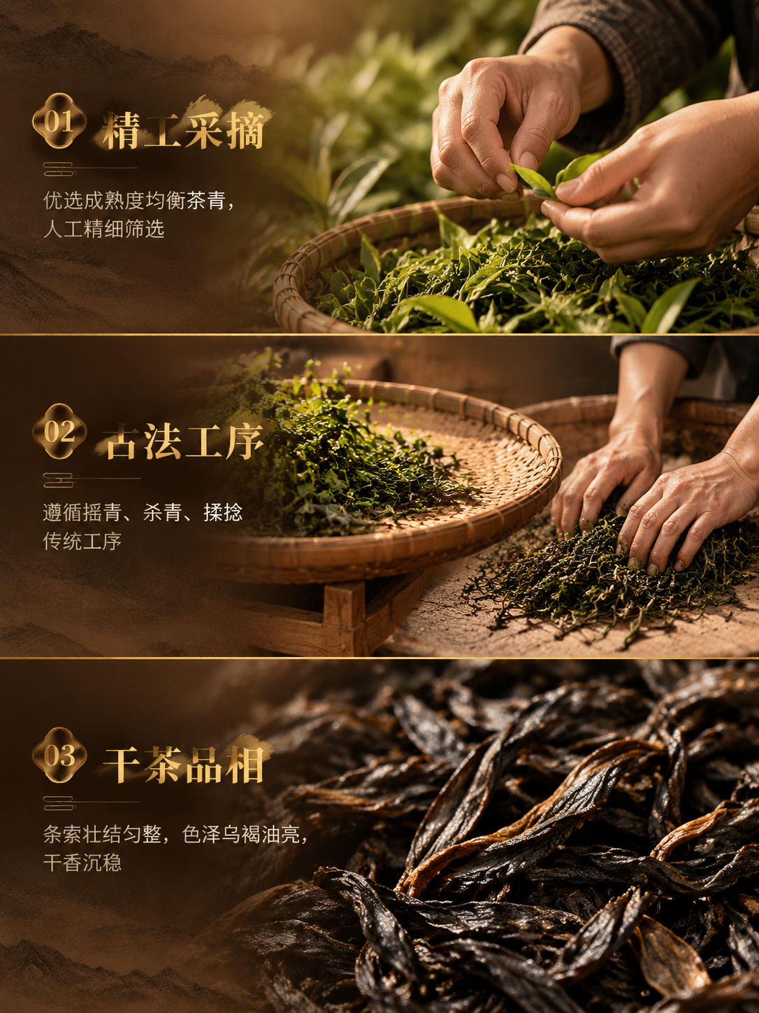 [商品] 不使用产品包装图，本页为工艺+干茶质地展示页。 [画… - 图片创意预览