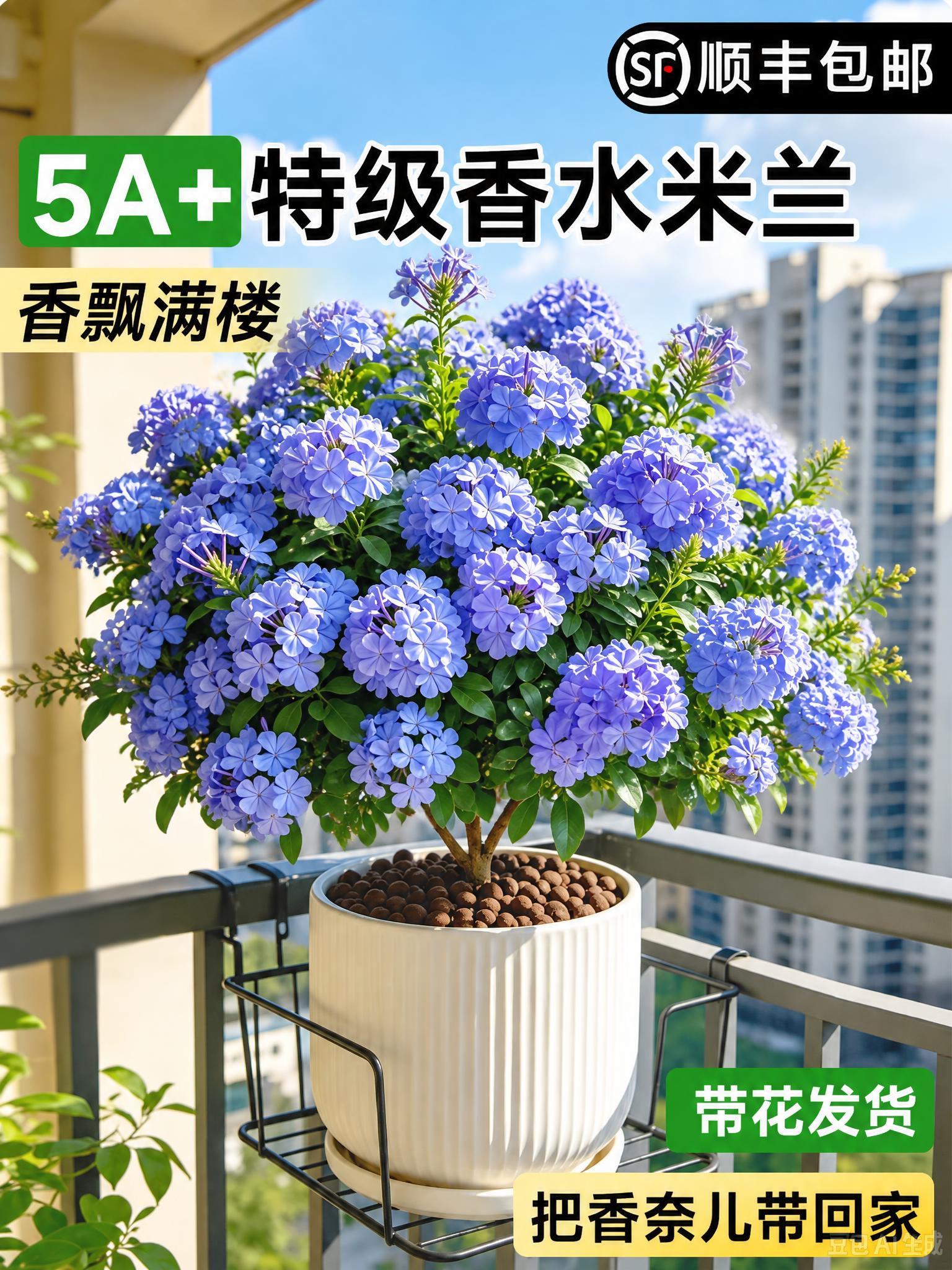 将图中的黄色米兰花替换为蓝雪花，蓝雪花的形态、颜色和花簇形态参… - 图片创意预览
