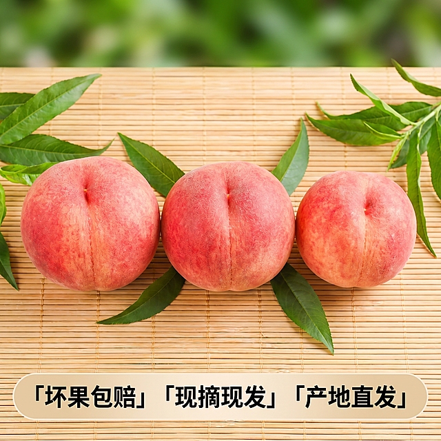 [主图 5] 水蜜桃SKU与服务承诺转化主图，促进下单。
[氛围风格] 清晰直观，信任感强，整体风格统一。
[画质] 商业摄影质感、光线柔和通透、产品清晰真实、画面干净高级。
[元素] 保持水蜜桃外观和颜色与输入产品图绝对一致。展示3颗不同大小完整水蜜桃整齐排列在浅原木色野餐垫上，搭配翠绿桃叶，背景浅绿自然虚化，商品整体占比60%左右，画面满屏无边框。
[光影] 自然均匀柔光，整体光线明亮通透，展示清晰产品外观。
[配色] 粉嫩水红搭配原木浅棕与浅绿，清新自然。
[视角构图] 水平俯视排列构图，整齐清晰展示产品。
[文字版式] 画面底部设置半透明悬浮条（两端留空），横向排列三个服务点：「坏果包赔」「现摘现发」「产地直发」，黑色文字配浅色背景，清晰易读不遮挡产品主体。
[比例分辨率] 1:1比例，2k分辨率；文字清晰可辨，超高清。
[负向提示词] 变形，水印，文字错乱，产品图模糊，背景杂乱，牛皮癣，配色刺眼，遮挡主体