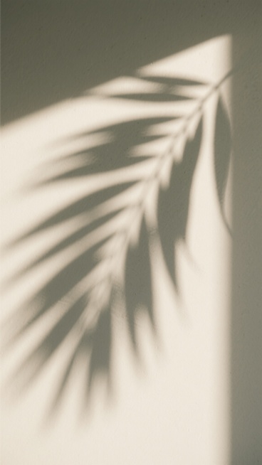 柔和的米白色背景上，阳光透过叶片间隙投射出清晰而带有斑驳纹理的深灰色植物影子，光影呈现出自然的渐变过渡，整体画面弥漫着宁静、温暖且略带朦胧的氛围，光线从画面右上角斜射而下，形成明亮的光带与阴影区域的和谐对比，构图简洁，留白充足，具有极简主义的设计感。预览效果