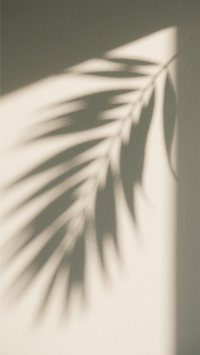 柔和的米白色背景上，阳光透过叶片间隙投射出清晰而带有斑驳纹理的深灰色植物影子，光影呈现出自然的渐变过渡，整体画面弥漫着宁静、温暖且略带朦胧的氛围，光线从画面右上角斜射而下，形成明亮的光带与阴影区域的和谐对比，构图简洁，留白充足，具有极简主义的设计感。