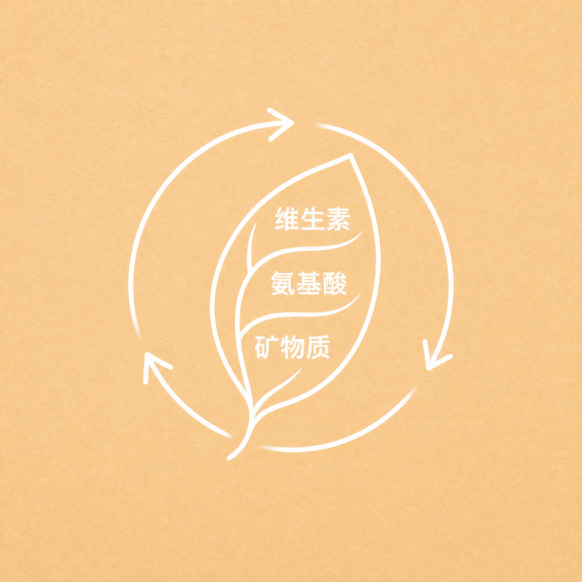 500*500正方形画面，米杏色带轻微纸张纹理背景，画面居中摆放白色简约线性图标，组合元素为一片叶片，叶片上白色文字分别为："维生素"、"氨基酸"、"矿物质"，搭配环形循环箭头，线条流畅纤细，扁平化设预览效果