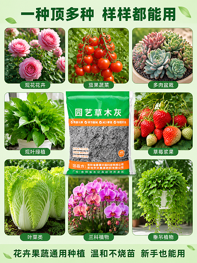 [第9张] 适用范围大全页-多品类通用展示宫格。本张使用【图1】包装袋作为中心产品。
[氛围/风格] 丰富多样的植物展示，全面覆盖感，清新自然，商业摄影质感
[元素布局] 画面采用宫格拼图形式，3行3列共9个格子，展示9种不同类型的植物使用场景，每个小格子都是一张精美的植物照片：1.月季花（观花花卉）2.西红柿（果菜）3.多肉植物（多浆）4.绿萝（观叶绿植）5.草莓（浆果）6.君子兰（名贵花卉）7.白菜（叶菜）8.兰花（高档花卉）9.绿萝吊兰（垂吊植物）。每个小格子里的植物都长势喜人、状态健康。画面正中央位置叠加放着一袋园艺草木灰（使用图1），作为核心产品，比格子略大突出。背景为浅绿色渐变，有轻微的叶片纹理装饰。保持草木灰包装袋外观与图1一致。
[光影质感] 每个小格子内的植物都有独立的柔和光照，整体光线均匀明亮，植物色彩鲜艳真实
[配色色系] 全局底色 #F1F8E9 浅草绿渐变；主色丰富的绿色系；辅助色各色花朵、包装袋绿色统一视觉
[视角构图] 九宫格布局，产品在中央叠加突出，构图饱满丰富
[文字版式] 顶部主标题「一种顶多种 样样都能用」，深绿色粗体大字居中。每个小格子下方有小字标签：观花花卉 茄果蔬菜 多肉盆栽 观叶绿植 草莓浆果 高档花卉 叶菜类 兰科植物 垂吊植物。底部大字：花卉果蔬通用种植 温和不烧苗 新手也能用。文字清晰，分布在格子间隙和边缘。
[比例分辨率] 3:4 竖版比例，4K 分辨率，文字清晰可辨，高清画质
[负向提示词] 变形，水印，文字错乱，文字过小，产品图模糊，背景杂乱，除虫字样，电商平台Logo