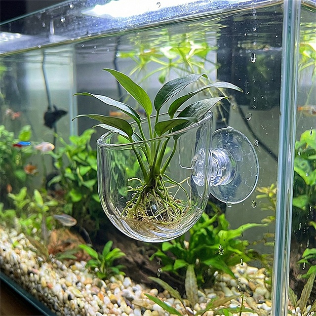 帮我生成图片：以图中的透明鱼缸植物支架为元素,带吸盘,适用于家庭水族箱造景装饰，可放置红虫鱼虾饲料,设计4张跟透明鱼缸植物支架有关的图,物体主体特征不变，英语,比例 「1:1」