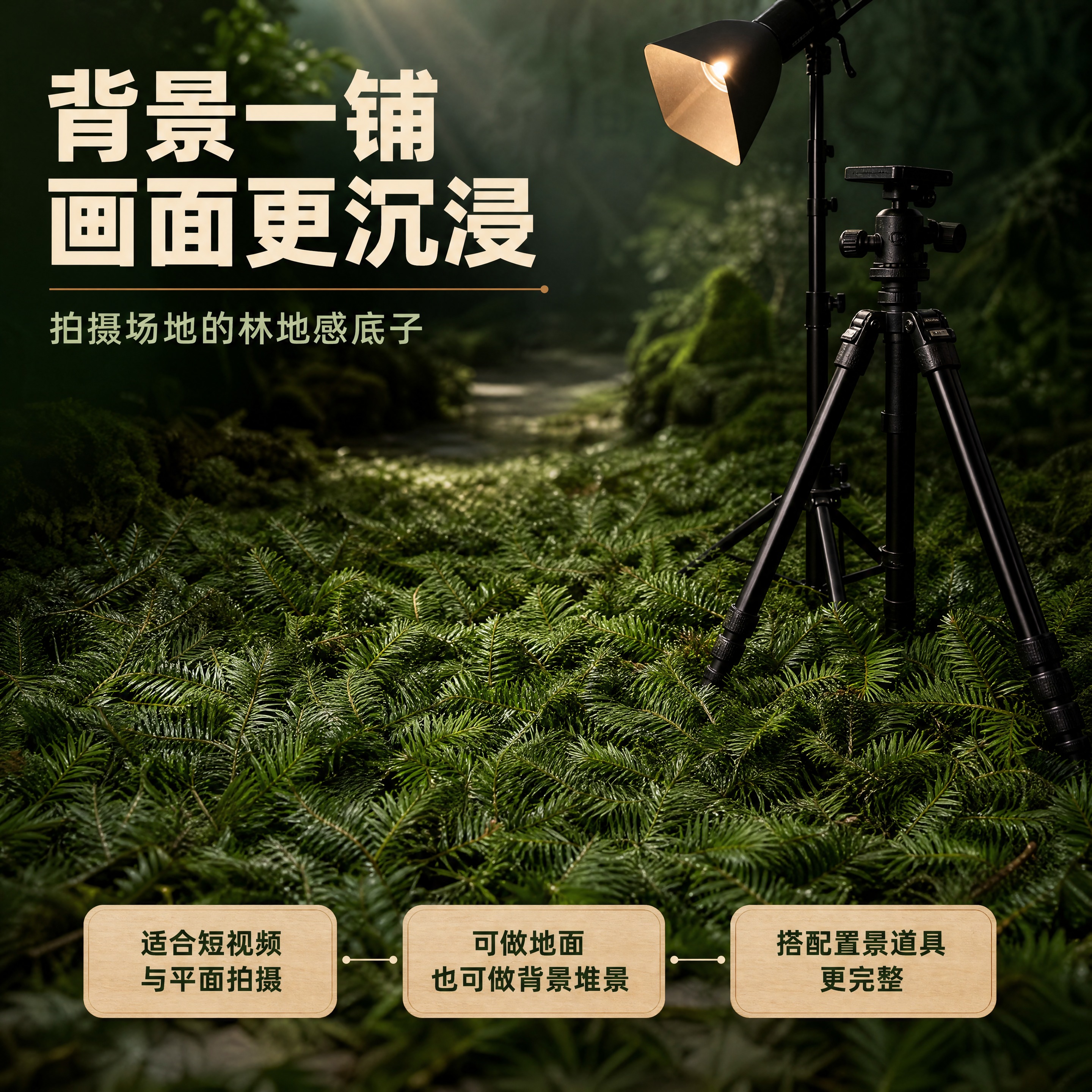 [商品] 使用【图1】【图5】的杉树叶大面积铺展作为拍摄场地背… - 图片创意预览
