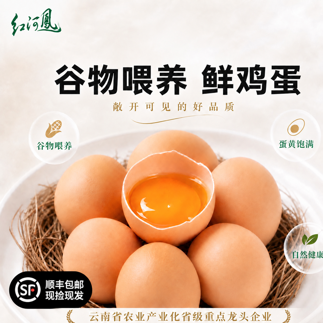 修改这张红河凤宣传图： 1. 去掉画面顶部正中（主标题「谷物喂… - 图片创意预览
