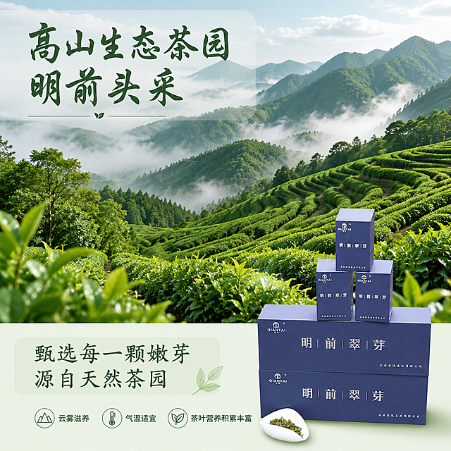 [第2屏] 产地原料展示-明前翠芽核心产区茶园介绍，本屏使用【图2】作为产品辅助展示。
[氛围/风格] 自然原生态，清新绿意，写实摄影质感，传递产地新鲜直供感受。
[元素布局] 上半部分占60%画面为高山茶园实景图，云雾缭绕的绿色茶园占满主视觉；下半部分放置产品包装小块展示，占比约25%。核心视觉茶园场景元素放大占屏，突出自然生态优势。
[光影质感] 清晨柔和漫射光，整体明亮通透，茶园层次清晰，产品包装光线均匀。
[配色色系] 全局底色 #e8f3e8，主色深绿茶园，辅助色浅灰文字块，产品深蓝色点缀。
[视角构图] 平视全景构图，上景下图结构，先感受产地氛围再引出产品。
[文字版式] 上半部分主标题「高山生态茶园 明前头采」，下半部分副标题「甄选每一颗嫩芽 源自天然茶园」，文字放置浅灰半透底色块上，温润书法标题字，深墨绿色，和首屏字体风格统一；底部补充说明「云雾滋养 气温适宜 茶叶营养积累丰富」，文字清晰易读不遮挡茶园主体。
[比例分辨率] 1:1 方图，4K分辨率，文字清晰可辨，高清画质。
[负向提示词] 画面模糊，文字错乱，比例失调，过度滤镜，虚假场景，文字过小