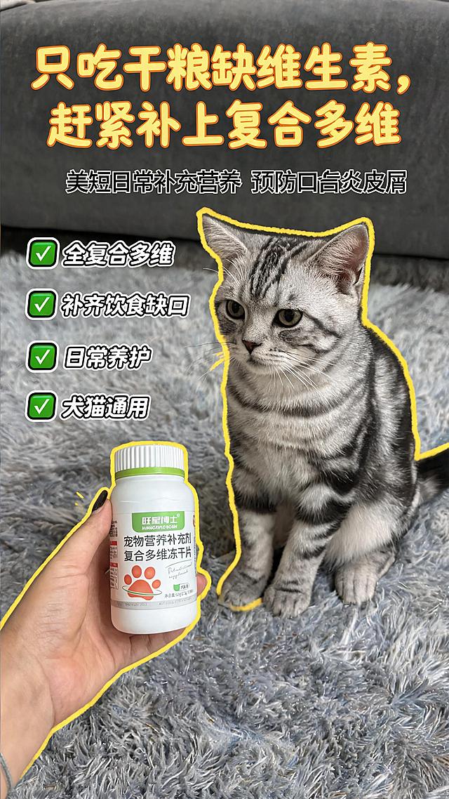 「图片1」   属于产品图片，参考         「图片1」                         这种图片，痛点：宠物长期单一吃干粮主食，日常饮食缺少多种维生素，容易出现口角炎、皮屑多、脚底干裂等维生素缺乏问题
卖点：富含维生素A、D3、全族B族维生素、维生素C、叶酸、烟酰胺等全套复合多维，全面补齐日常饮食缺失营养
使用场景：家养猫狗日常长期喂食，拌入主粮每日定量投喂，作为日常基础营养补充，预防各类维生素缺乏症
，制作10张适合小红书的封面图片，还要和不同猫狗独影作为合影。尺寸：9:16