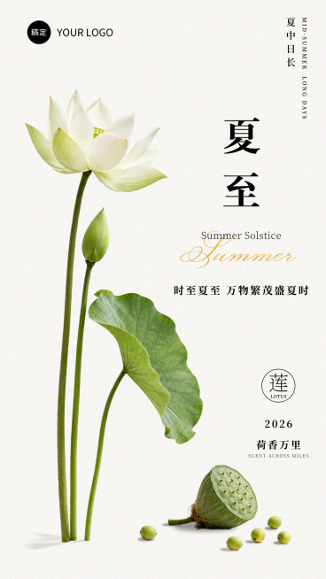 夏至节气祝福体育清新极简风竖版海报预览效果