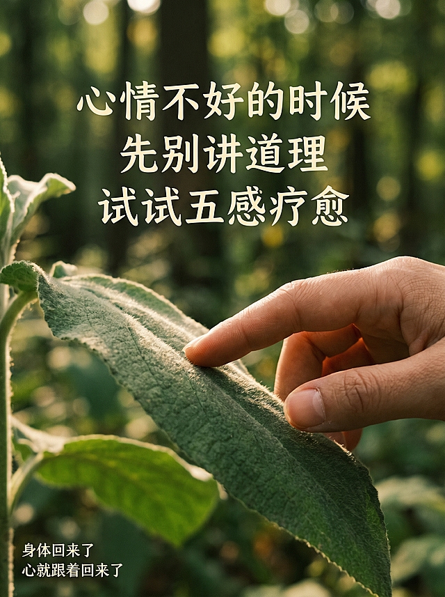 小红书图文首页封面，一只手轻轻触碰一片大大的绿色带绒毛感的叶子，手指和叶子之间有温柔接触点，构图安静如电影画面，居中大字“心情不好的时候 先别讲道理 试试五感疗愈”，左下小字“身体回来了 心就跟着回来了”，整体色调为绿色系加暖光，自然大地感，氛围感静谧治愈