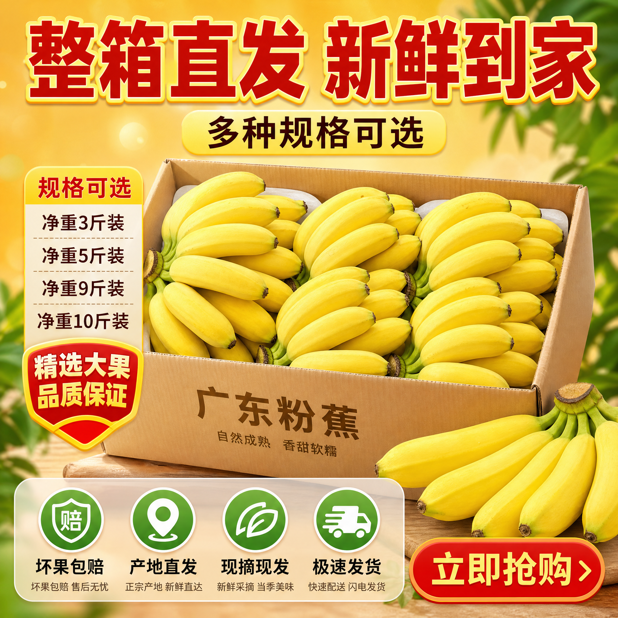 [主图-5] 规格与服务承诺图，展示整箱粉蕉和售后保障，促进转… - 图片创意预览