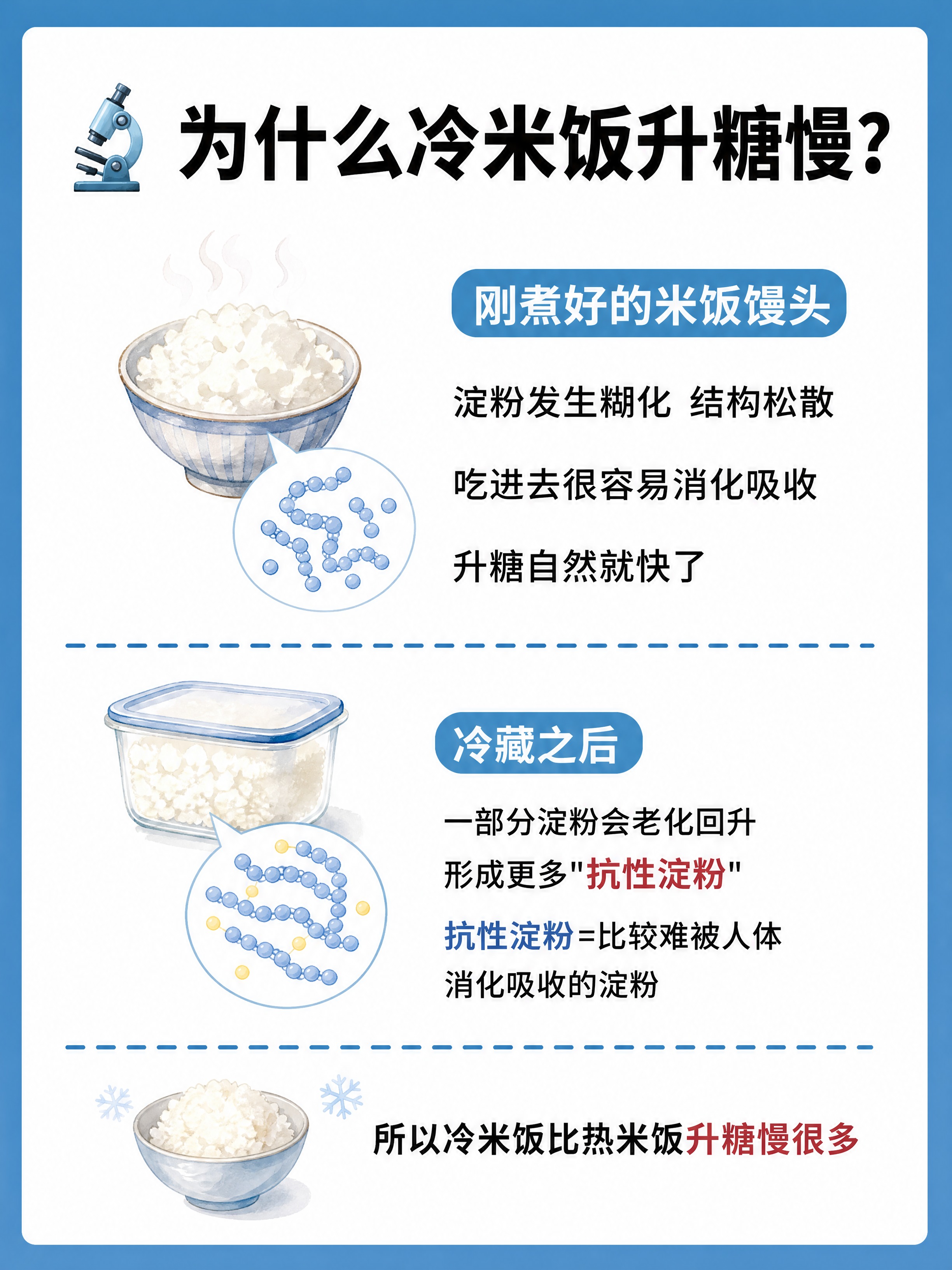 小红书笔记科普图文，插图大字，ins清新科普风，版式骨架、分区… - 图片创意预览