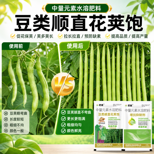 豆类肥料效果展示，对比使用前后豆荚效果，突出使用后豆荚顺直不弯曲、更长更均匀，拼多多商品主图，1:1正方形绿色农业风预览效果
