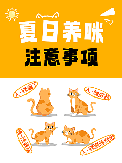 夏日养宠物养猫注意事项新人必看卡通风小红书封面