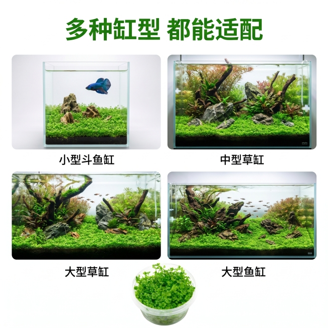 确认预览效果