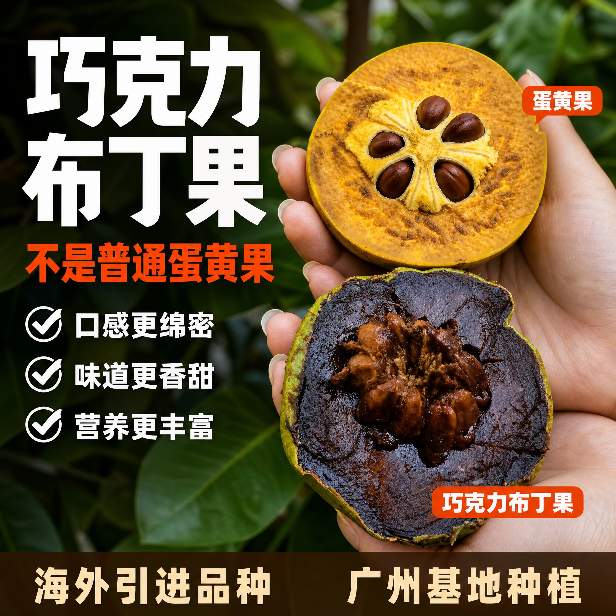 [主图7] 巧克力布丁果 拼多多爆款促销感主图 双品种对比 蛋… - 图片创意预览