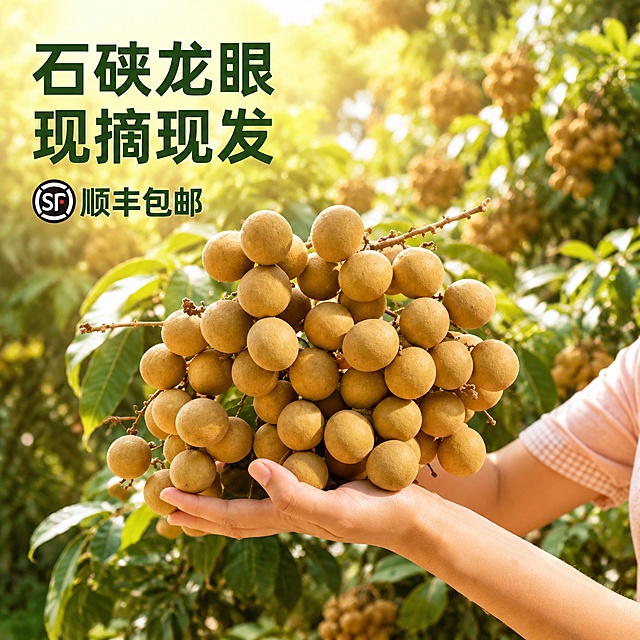 [主图-1] 现摘石硖龙眼首图，新鲜诱人展示。保持龙眼外观大小颜色纹理和输入产品图绝对一致，杜绝变形和色差，精细化处理。画面氛围为新鲜果园自然风，充满食欲感。商业摄影质感，光线柔和通透，产品清晰真实，画面干净高级。大串饱满带枝龙眼被手捧住，龙眼果实饱满圆润，黄绿果皮纹理清晰，背景为茂密龙眼树叶，果实累累的果园背景衬托，商品主体占比约70%。自然暖阳逆光穿透树叶，在果皮上形成柔和高光，通透有食欲，色温暖润自然，背景虚化层次分明。主色调为自然绿色和果实浅黄褐色，清新自然。平视视角，景深适中，主体突出轮廓完整不裁切。左上角负空间左对齐留安全边距，大字号粗体文案写"石硖龙眼 现摘现发"，深绿色加粗无衬线；下方小字"顺丰包邮"，保持顺丰logo提取自原图，大小约为标题一半。1:1比例，2k分辨率，文字清晰锐利，超高清。负向提示词：变形，文字错乱，产品图模糊，背景杂乱，水印，电商平台Logo。