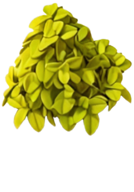 将花盆去掉，其他不变预览效果