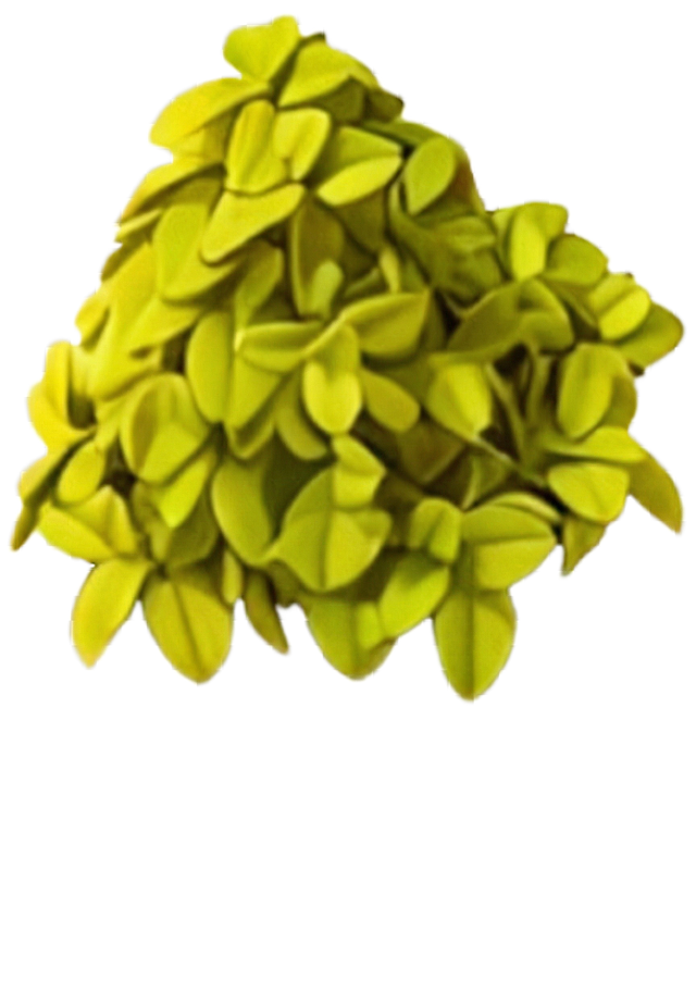 将花盆去掉，其他不变