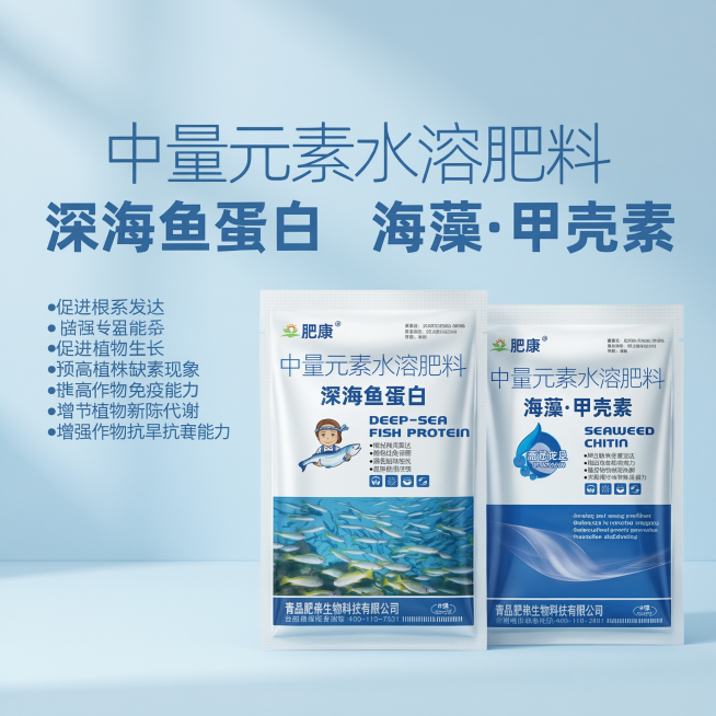 淘宝电商主图，突出产品双效协同调理优势，肥康深海鱼蛋白和海藻甲壳素套装，简洁设计，浅蓝品牌色调，1:1比例预览效果