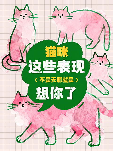 猫咪萌宠话题猫咪日常行为社群讨论小红书封面图