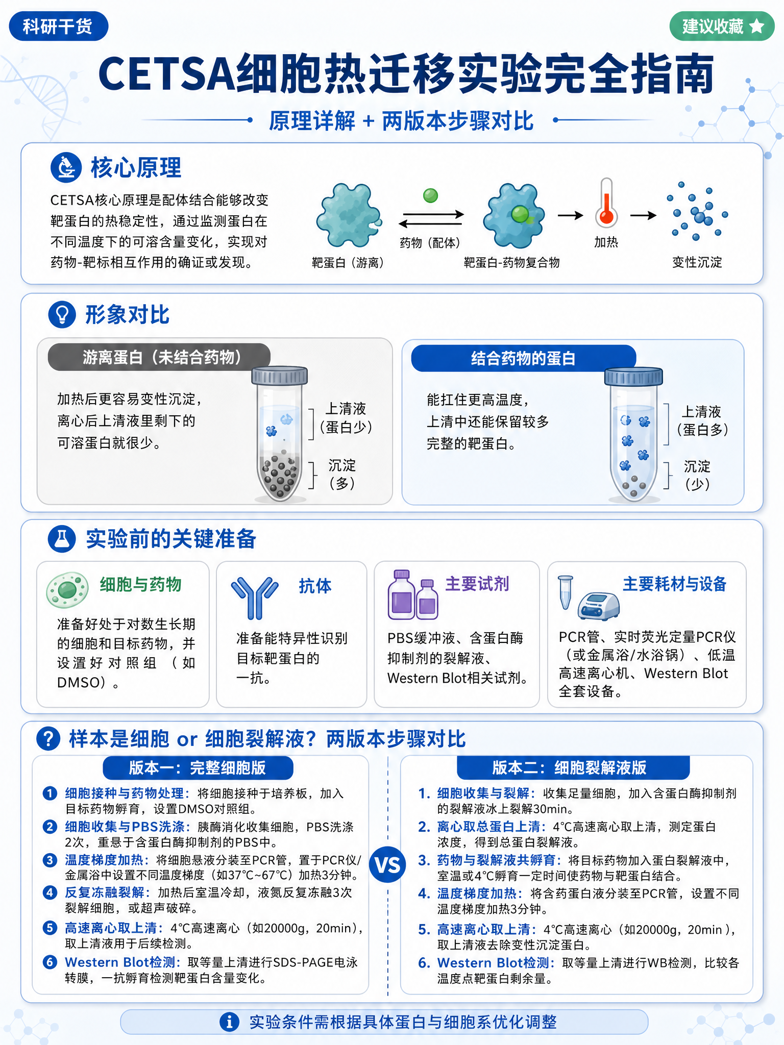 一张科研科普风格的竖版信息图海报，主题为CETSA细胞热迁移实… - 图片创意预览