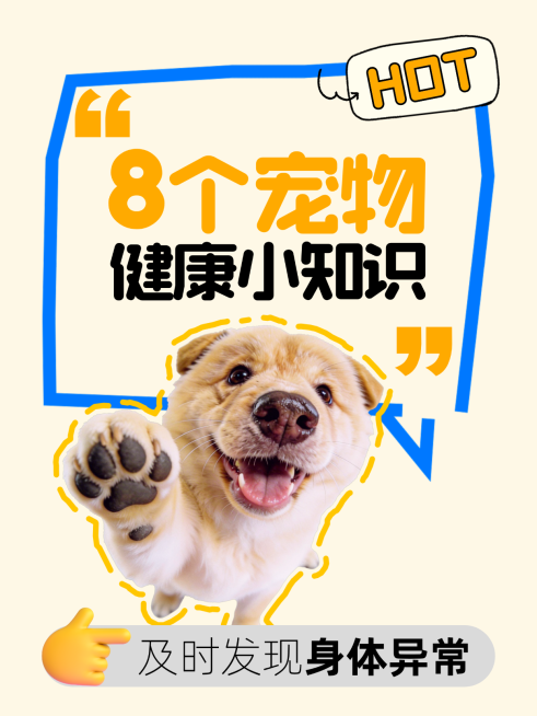 萌宠类健康必看攻略小红书封面预览效果