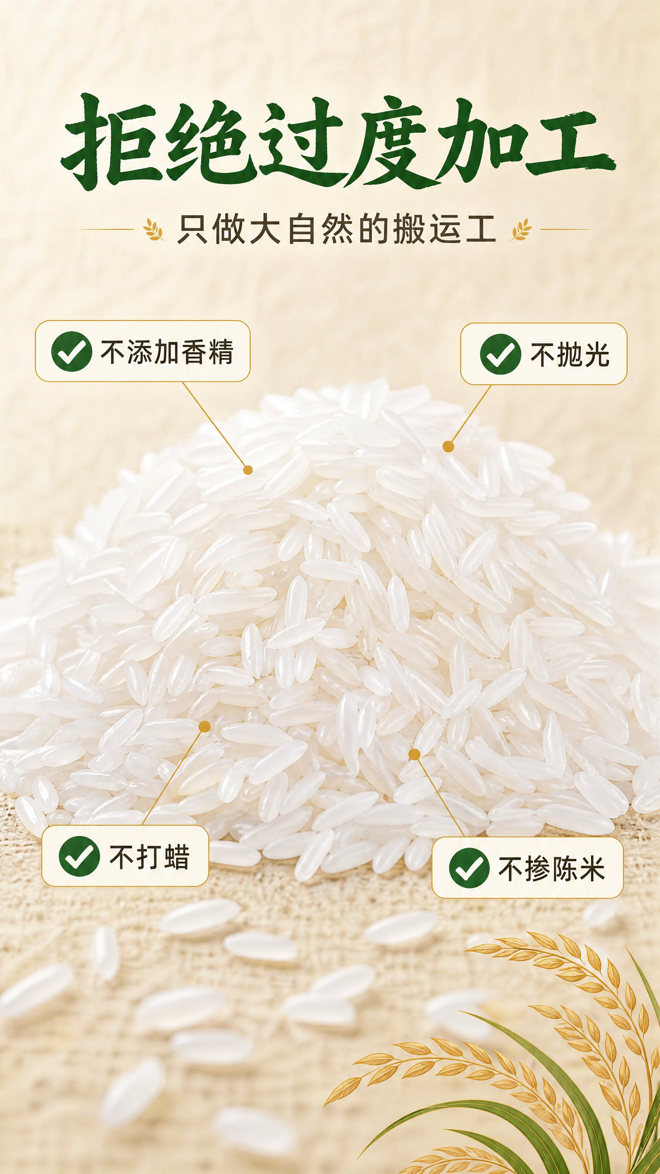 [商品] 使用【图1】【图2】中的大米实物参考；本张不出现包装… - 图片创意预览
