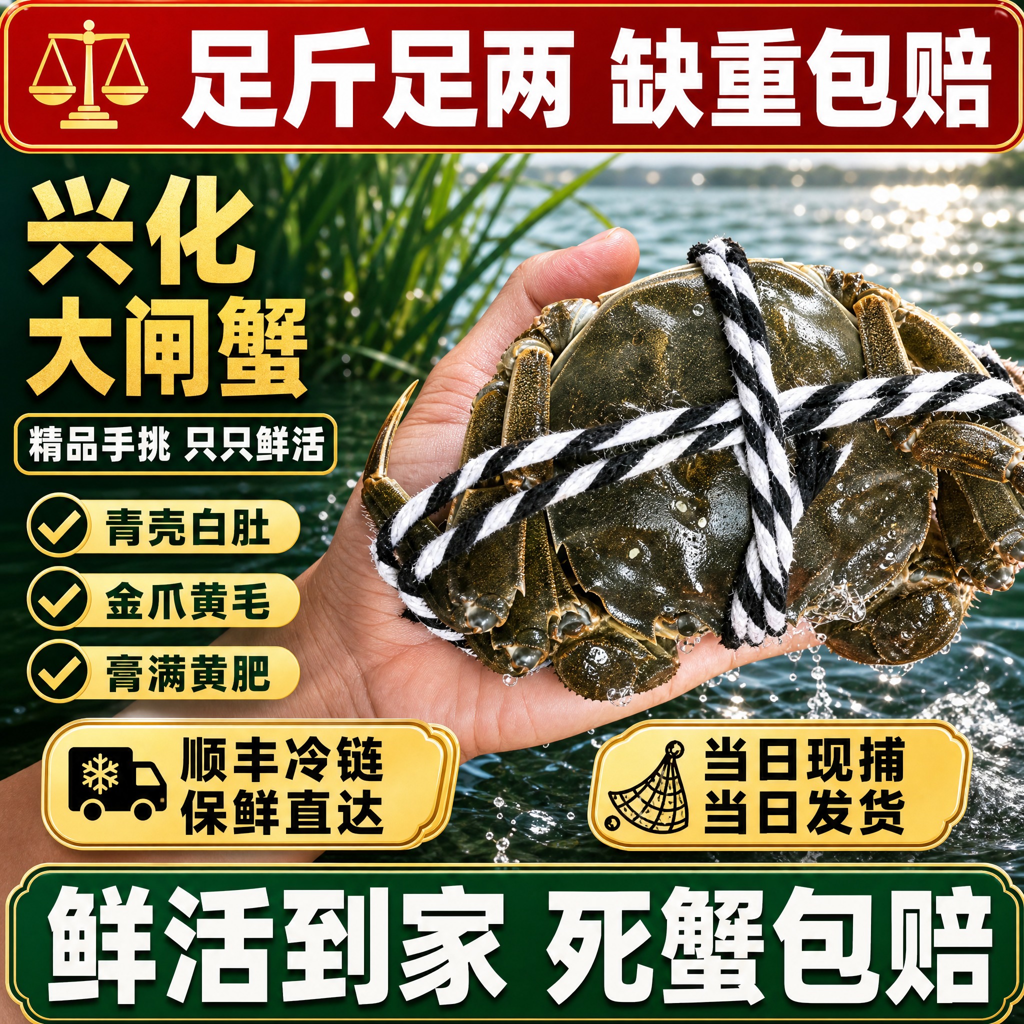 [单张主图] 兴化大闸蟹 爆款促销感主图，拼多多平台风格，1:… - 图片创意预览