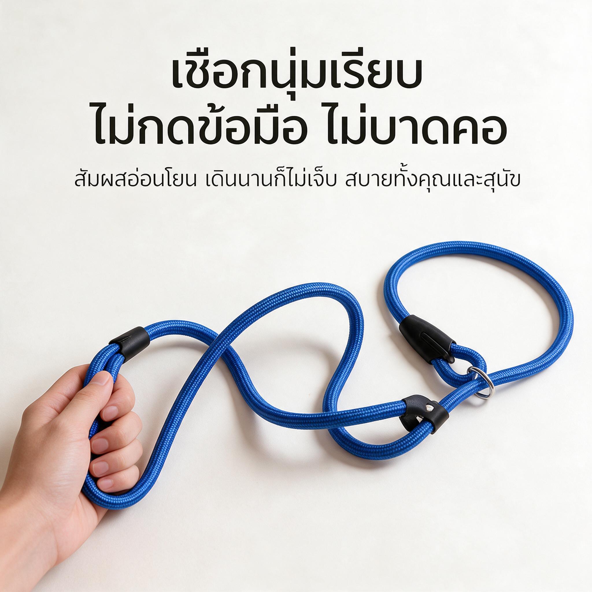 严格还原上传的蓝色宠物P链牵引绳产品图，包括编织绳体、塑料封头… - 图片创意预览