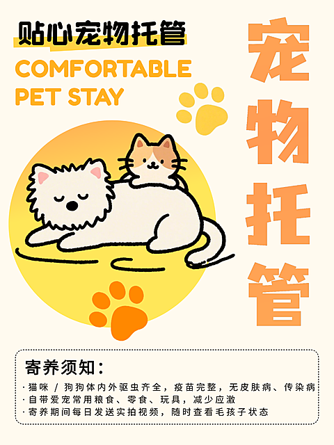 宠物托管宣传营销卡通小红书封面配图
