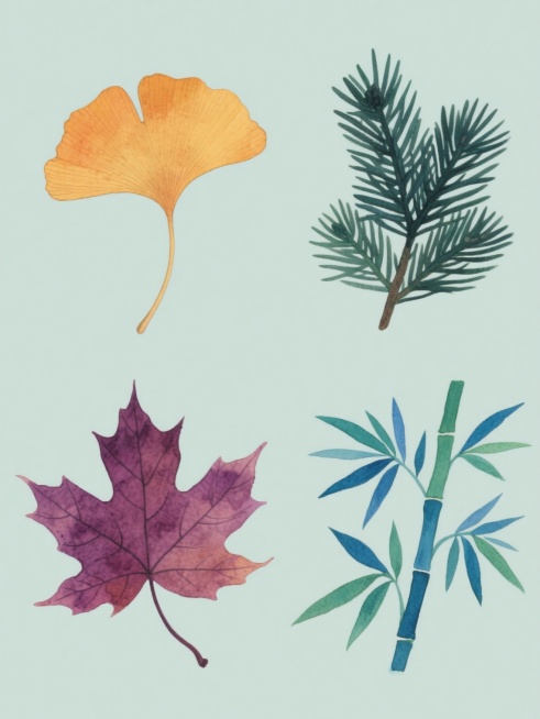 系列植物叶片插画集合，包含四组完全不同的植物叶片元素：第一组为橙黄色银杏叶，第二组为深绿色松针束，第三组为紫红色枫叶，第四组为蓝绿色竹叶，每组叶片均保持手绘水彩质感，边缘有轻微晕染效果，叶脉纹理清晰，叶柄自然弯曲，背景为纯色，四组元素呈田字格规整排布，整体色彩协调统一，风格一致，画面简洁干净。预览效果