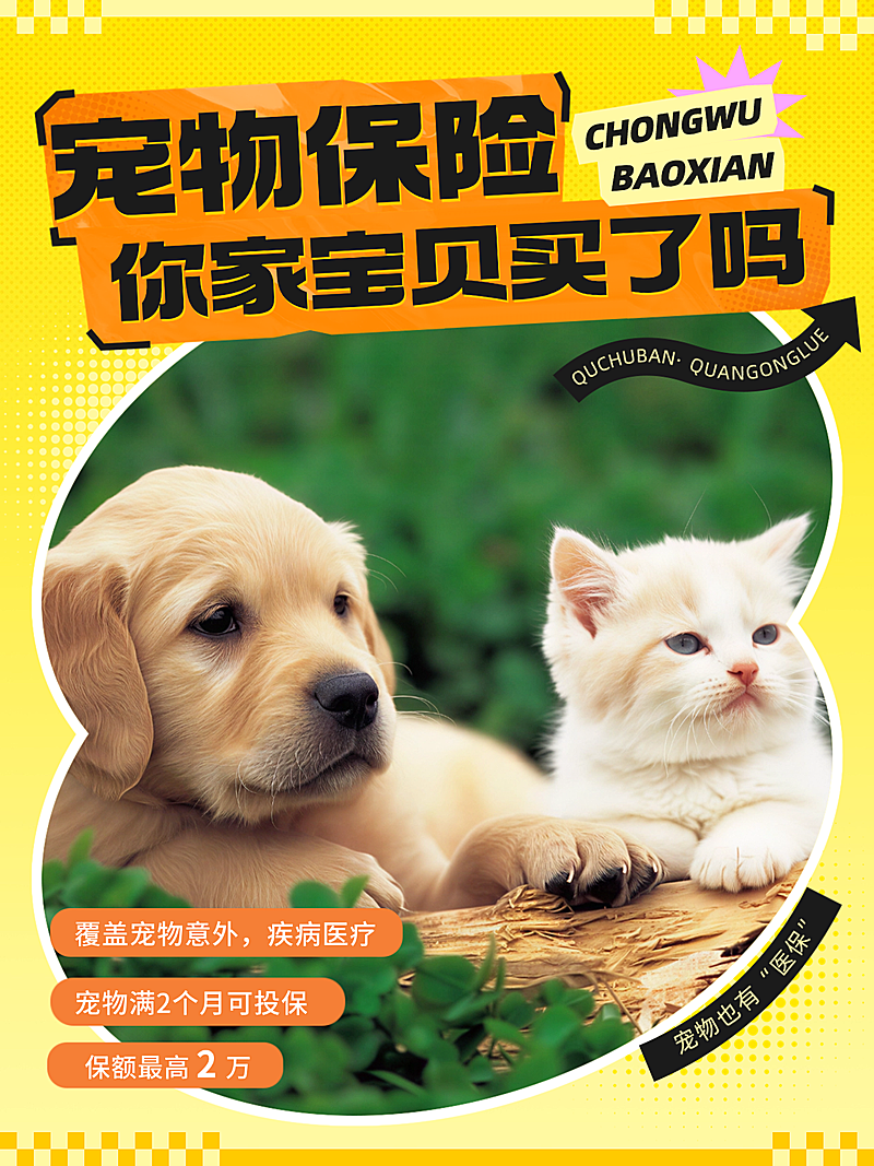 宠物保险科普攻略小红书封面