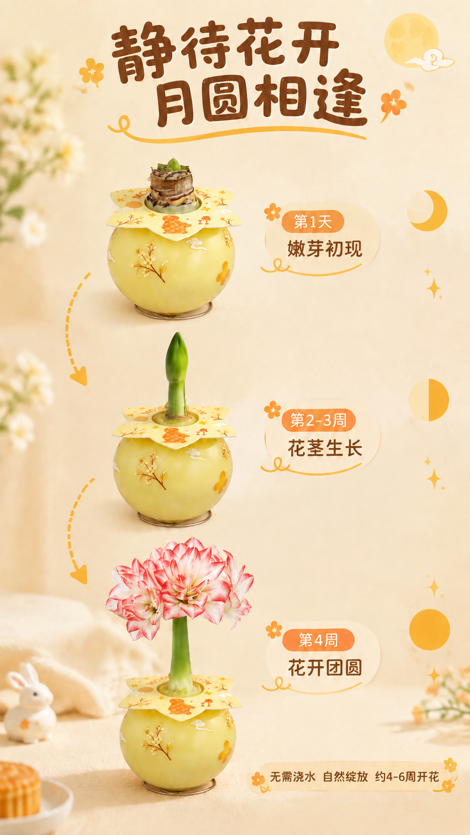 修改这张生长过程图的第二和第三个蜡球： 1. 【第二个蜡球（第… - 图片创意预览