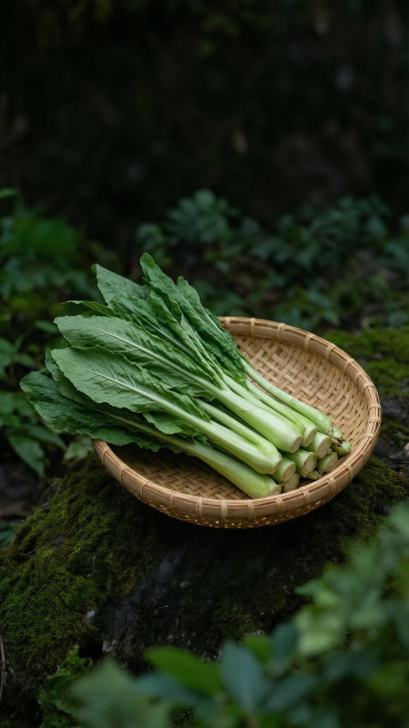 参考图片风格，一张山野蔬菜海报，新鲜山野蔬菜放在竹编篮子里，背景是深绿色苔藓深色自然环境，没有任何文字，简约自然风格，深色背景预览效果