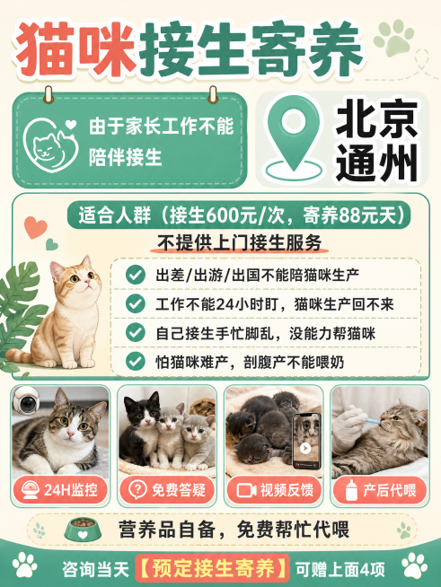 参考这张猫咪接生寄养宣传海报修改，保留全部文字内容不改变，调整整体排版布局，更换配色方案，生成新的同主题宣传海报，保持清晰可读预览效果