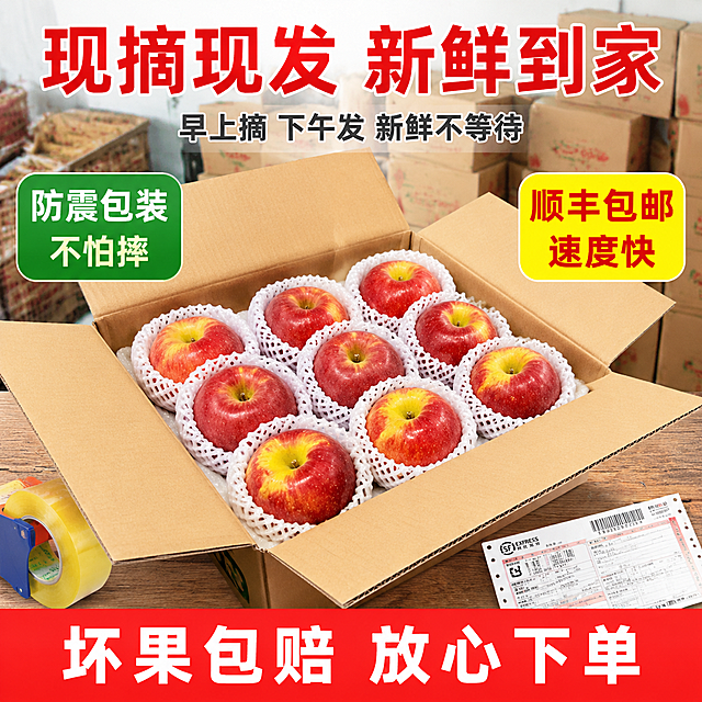 [主图-9] 冰雹苹果包装发货场景图。[氛围风格] 拼多多风格 发货快 包装好 真实可信 商业摄影。[画质] 商业摄影质感 产品真实 包装清晰 画面有层次。[元素] 画面展示果园打包发货场景 木桌上放着打开的快递纸箱 里面铺着防震泡沫网 整齐摆放着带雹斑的红苹果 每个苹果都套着泡沫网套 旁边有封箱胶带 快递单 背景是仓库或果园打包棚 有堆叠的纸箱。苹果雹斑清晰 色泽红润。保持苹果外观与输入产品图一致 精细化处理。商品主体占比约60%。[光影] 顶部柔和自然光+室内灯光 整体明亮 纸箱与苹果都有立体感 阴影自然。[配色] 主色苹果红与纸箱棕 辅色泡沫白与胶带黄 文字用红色与白色。[视角构图] 45度俯视 打开的纸箱为视觉中心 周围打包工具环绕 有真实发货感 景深中等。[文字版式] 顶部居中大字主标题 现摘现发 新鲜到家 红色粗体最大号。下方辅助文案 早上摘 下午发 新鲜不等待 深灰色中号。左侧标签 防震包装 不怕摔 绿底白字。右侧标签 顺丰包邮 速度快 黄底红字。底部红色通栏 坏果包赔 放心下单 白字加粗。[输出要求] 1:1比例 文字清晰锐利 超高清商业摄影质感。[负向提示词] 变形 文字错乱 模糊 水印 平台Logo 烂果 破损。