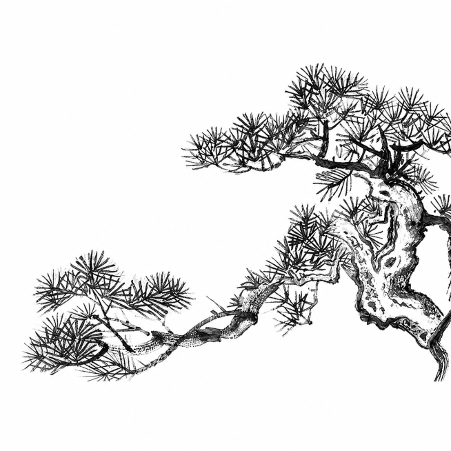 参考图片内容，重新生成一张钢笔硬笔线条风格的手绘作品，要求背景为纯白色，只保留黑色线条预览效果