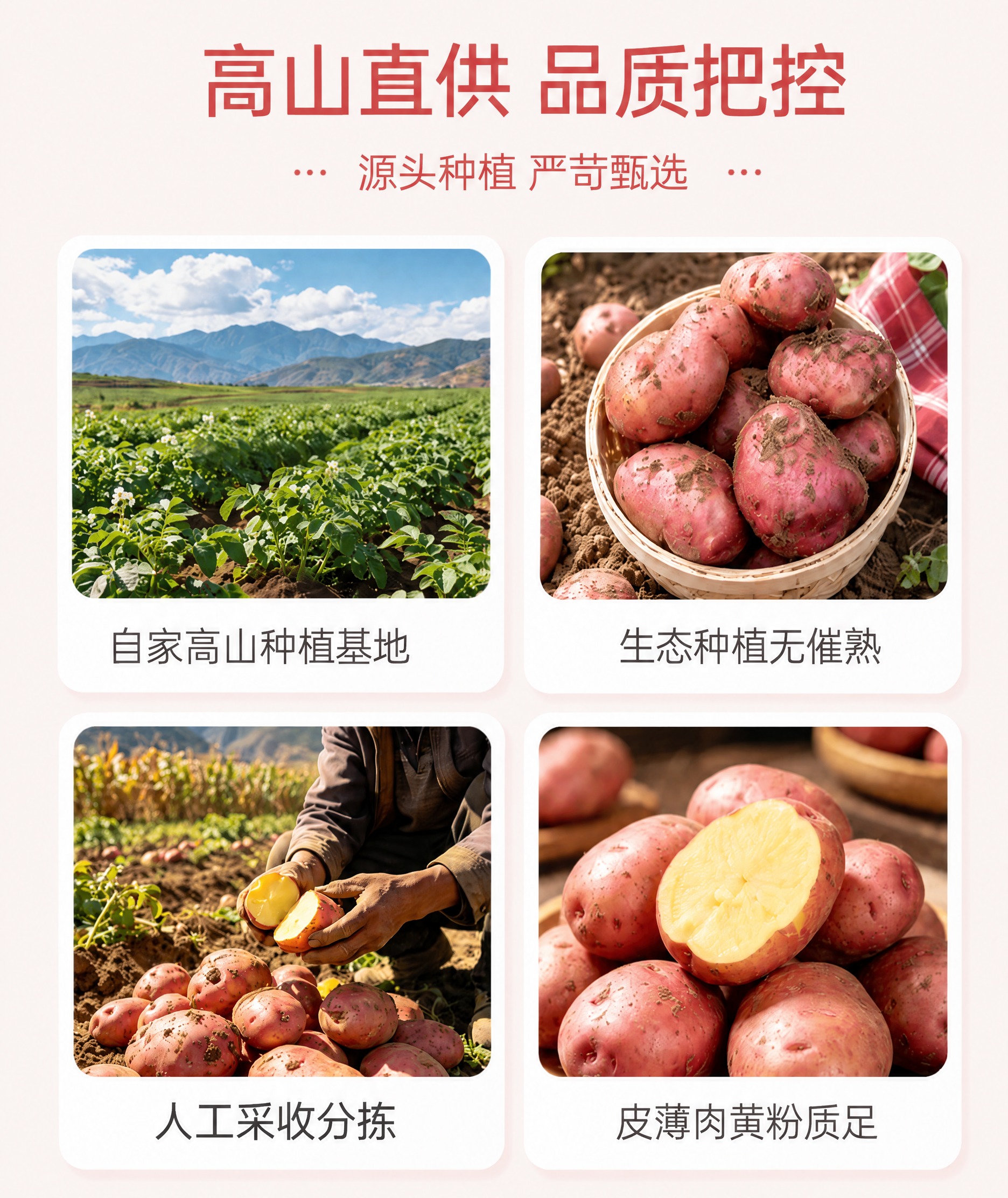 将图片左下角的文字“人工现挖现发”修改为“人工采收分拣”，保持… - 图片创意预览